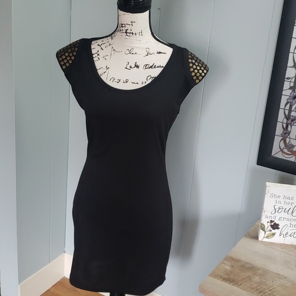 tea n rose Dresses & Skirts - Ladies Fitted Dress